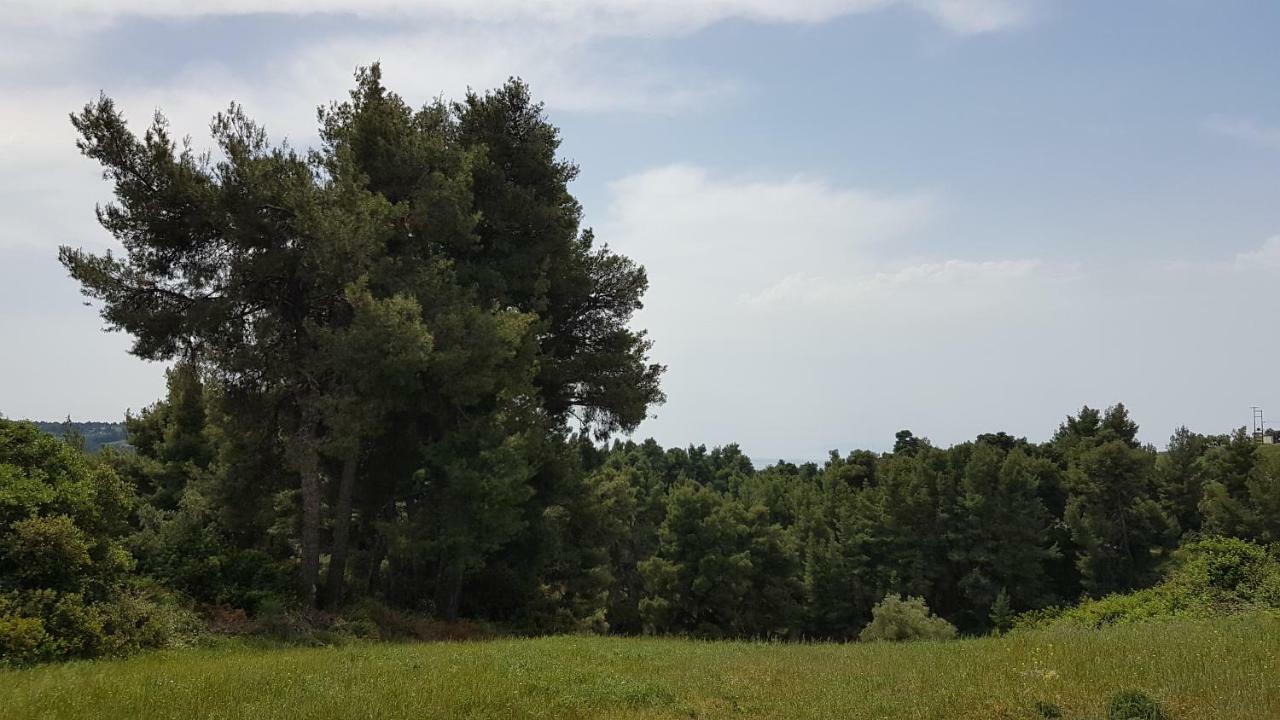 Villa Sugarella Siviri Dış mekan fotoğraf