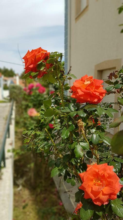 Villa Sugarella Siviri Dış mekan fotoğraf